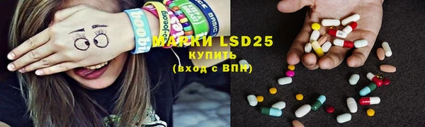 стаф Вязьма