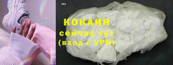 стаф Вязьма