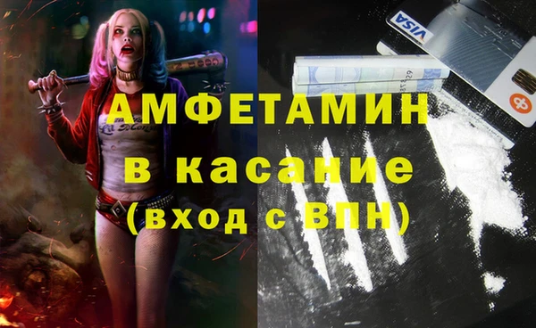 стаф Вязьма