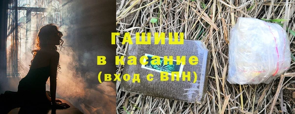 стаф Вязьма