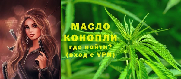 стаф Вязьма