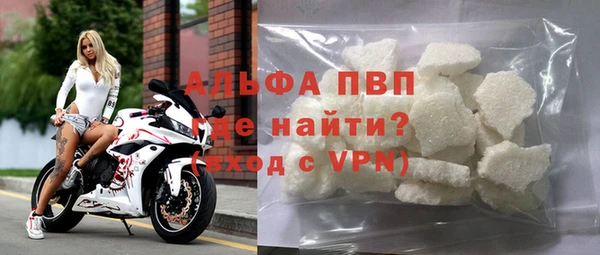 стаф Вязьма