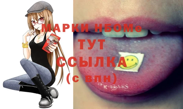 стаф Вязьма